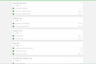 test your website and report bugs with a detailed report