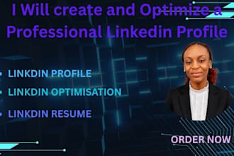 create and optimize a professional linkedin profile