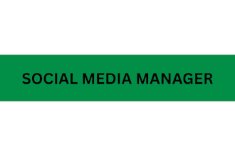 be your shopify manager