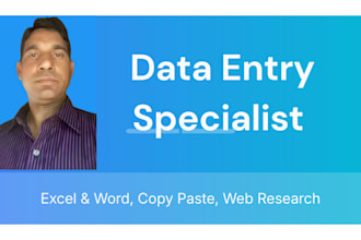 do professional data entry and excel web research