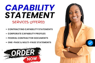 write, design or redesign your government capability statement