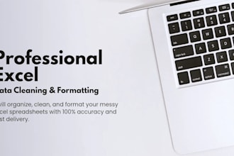do professional excel data cleaning