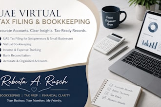 file uae virtual tax, solopreneurs and bookkeeping, income tracking and accounts
