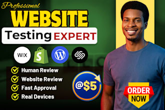manually test website usability, boost website functionality, bug detection