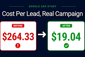 manage google ads campaign for local business owners