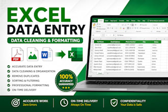 do excel data entry