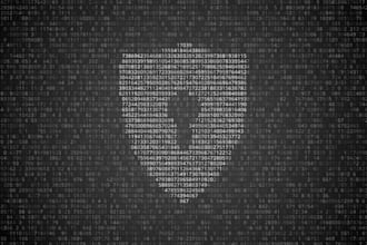 perform network and web application penetration testing