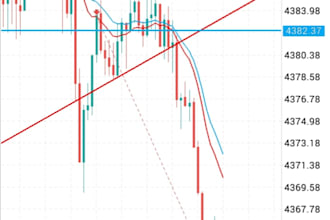 provide professional forex and gold market analysis