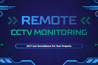 provide remote cctv monitoring and video surveillance