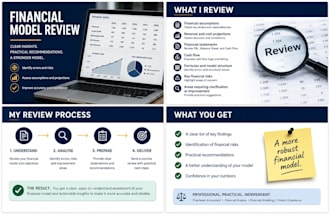 review your financial model and identify risks and errors