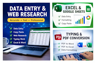 do accurate data entry, typing and web search