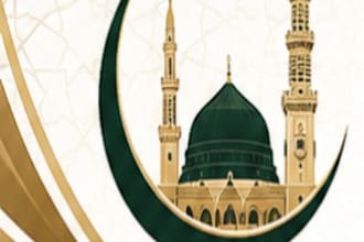 build or fix your kodular android app