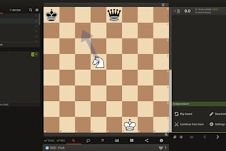 coach chess enthusiasts to improve at chess