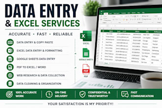 accurate data entry and excel work