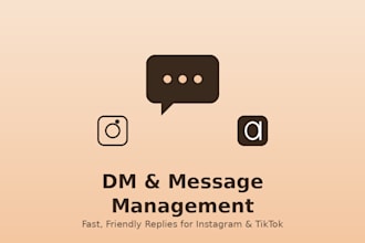 reply to your instagram and tiktok dms quickly and professionally