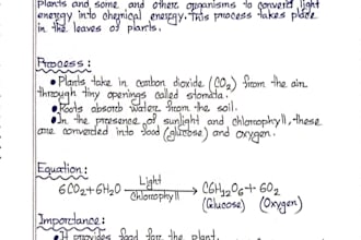 write professional handwritten notes for you