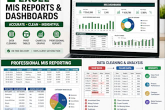 create professional excel mis reports and dashboards