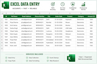 do accurate data entry and excel work