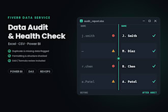 perform a data audit and health check