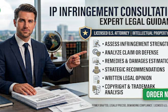 provide expert legal advice on copyright and trademark infringement
