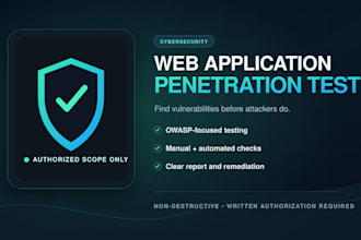 perform an authorized web application penetration test