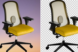 do professional background removal and transparent png