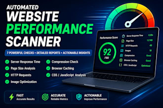 perform a professional website performance assessment