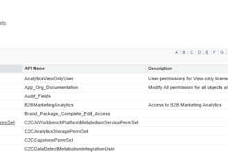 manage salesforce user access security and profile setup