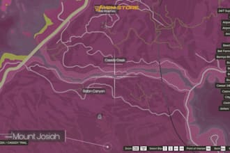 fully design a custom fivem NYC, la,ls minimap for your server