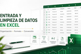 entrada limpieza y organización de datos en microsoft excel