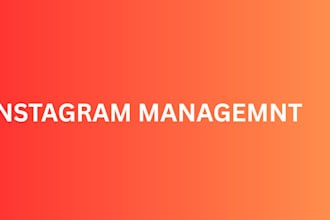 do instagram management for your business