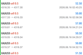 set up profitable forex ea bot, forex trading robot, forex ea bot, gold ea