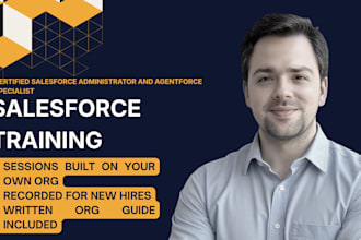 train your team on salesforce and document your org