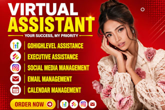 ghl virtual assistant hubsport crm executive virtual assistant social media VA