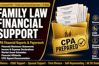 provide CPA financial support and paperwork for family law cases