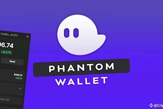 setup crypto wallet app sol token wallet app phantom wallet wallet tracker bot
