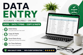 do data entry and simple exel tasks
