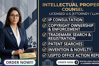 provide professional IP legal consultation