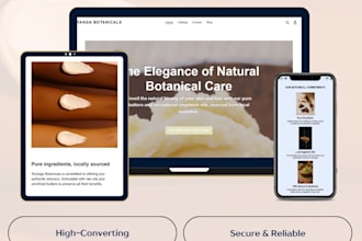 design a professional shopify store with on page seo