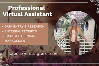 be your VA for admin data entry, quickbooks
