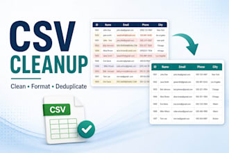 clean, format, and organize your CSV data