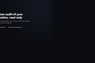 audit your automation and send you a written report