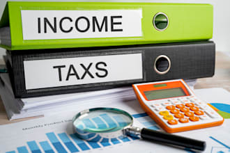 file US tax returns I CPA I US tax preparer