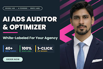 build an ai google ads auditor and optimizer for agencies