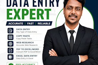do professional data entry, web research, excel data entry
