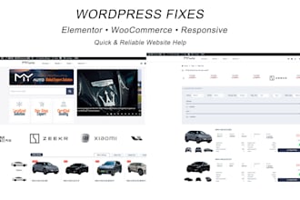 fix wordpress, woocommerce or elementor issues