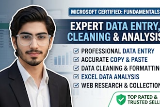 do data entry data cleaning  excel data analysis