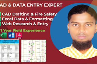 do autocad 2d drafting, excel data entry and web research