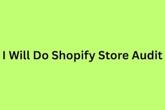 do shopify store audit