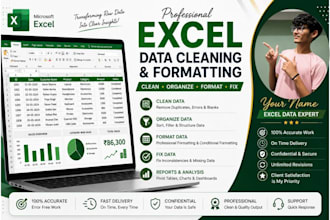 clean, format and organize your excel data